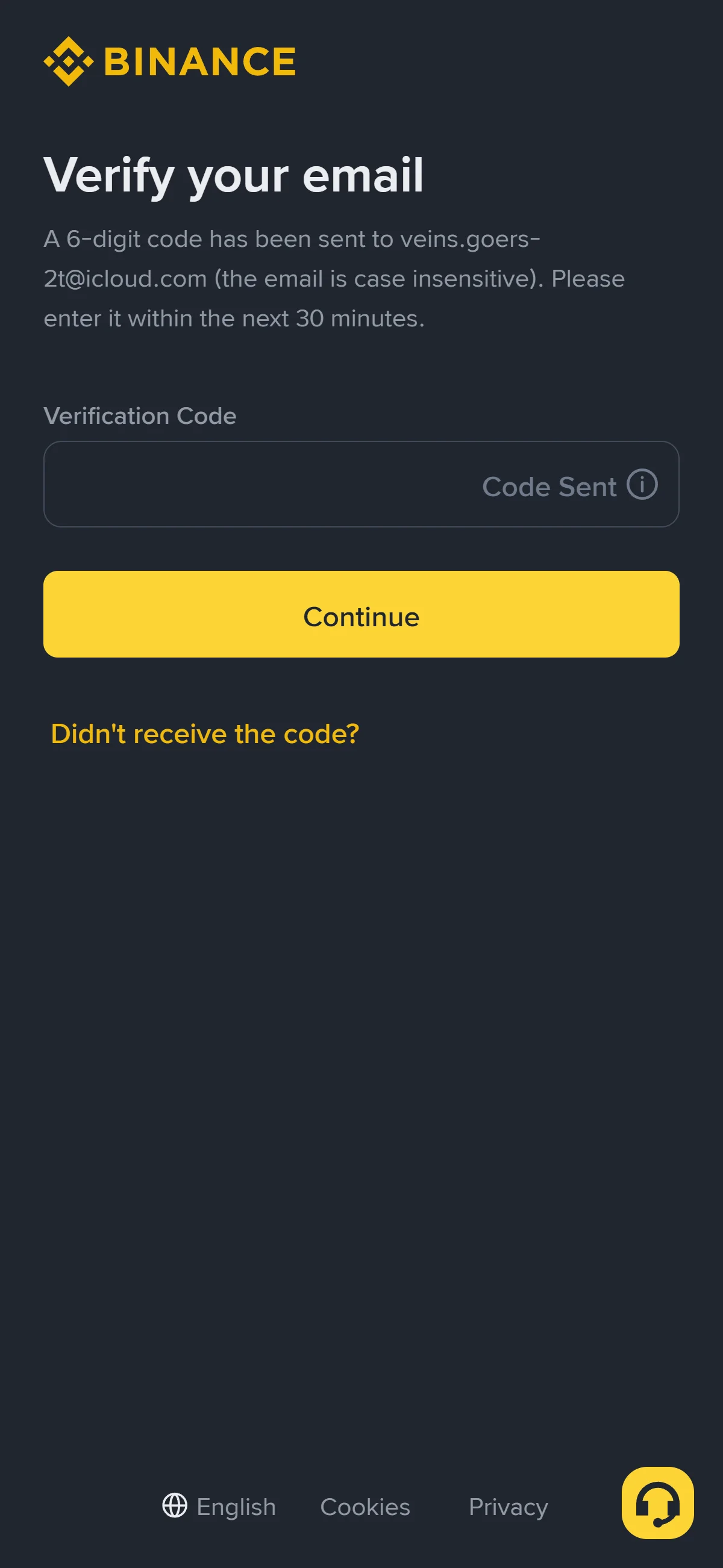 The email verification screen