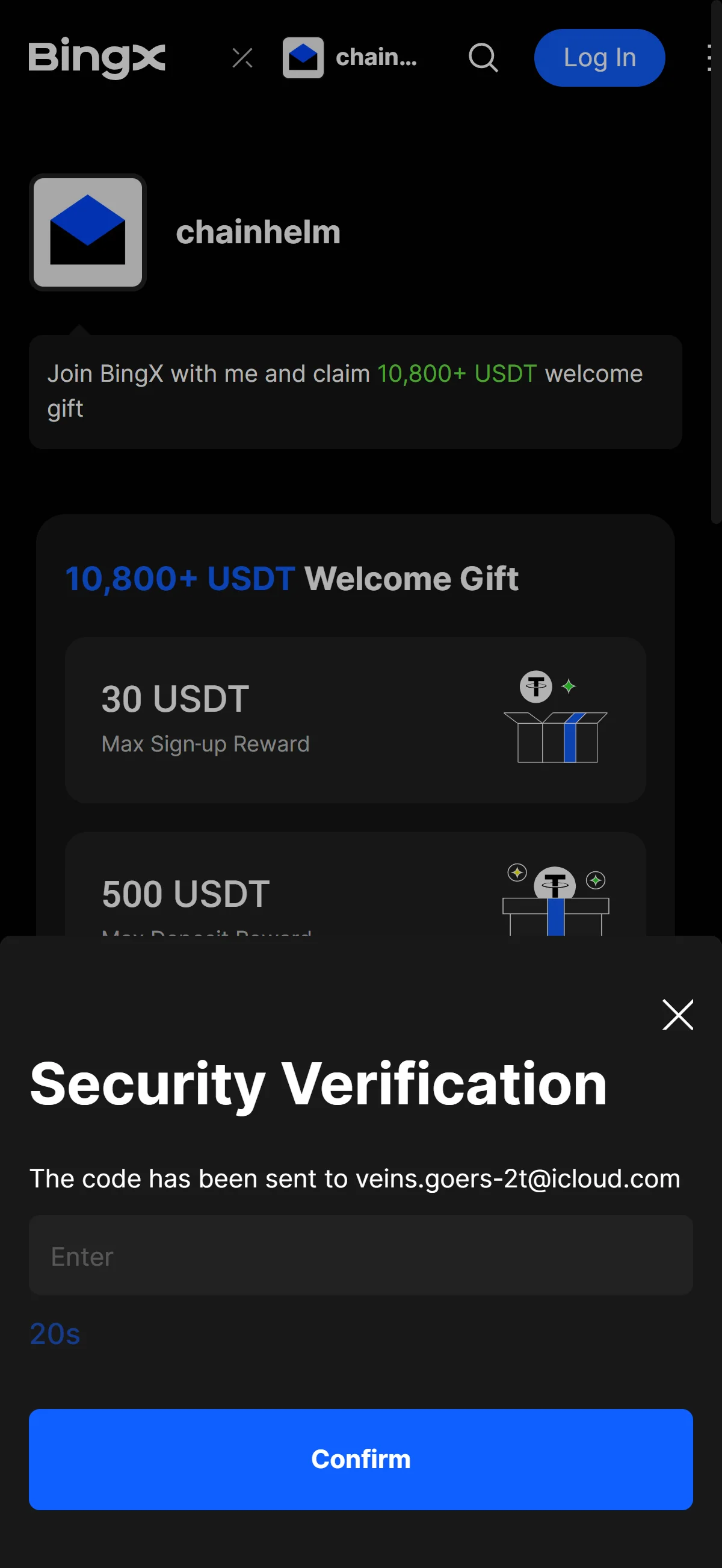 The security verification window