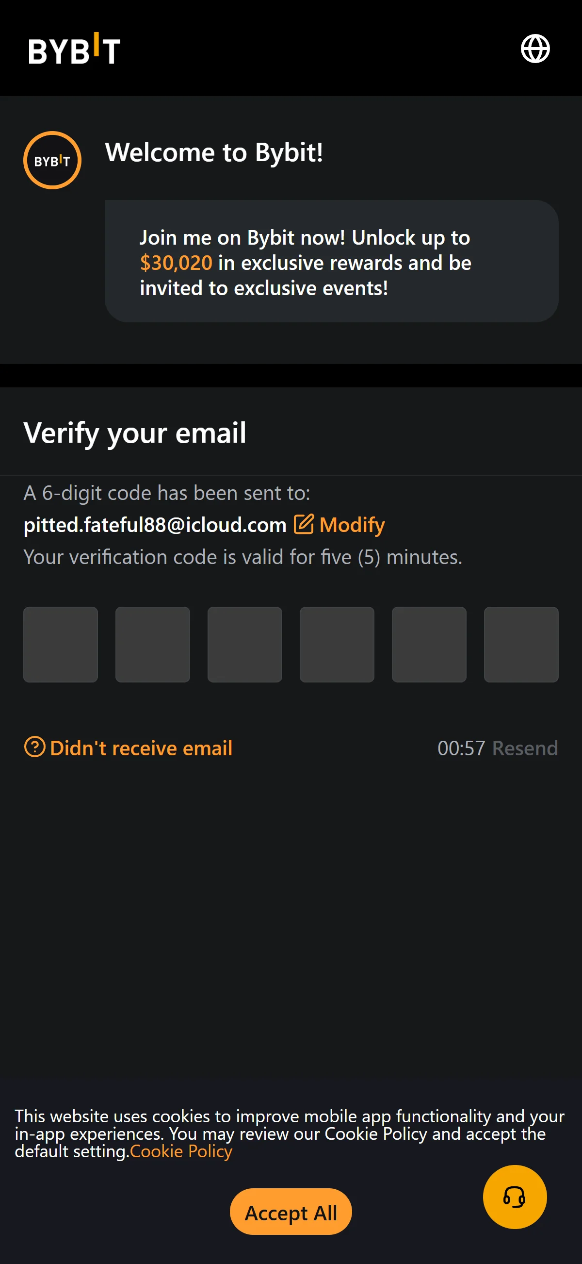 Email code entry screen